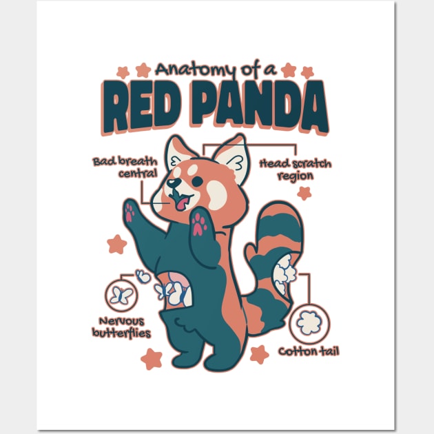 Anatomy Of A Red Panda Wall Art by Visual Vibes